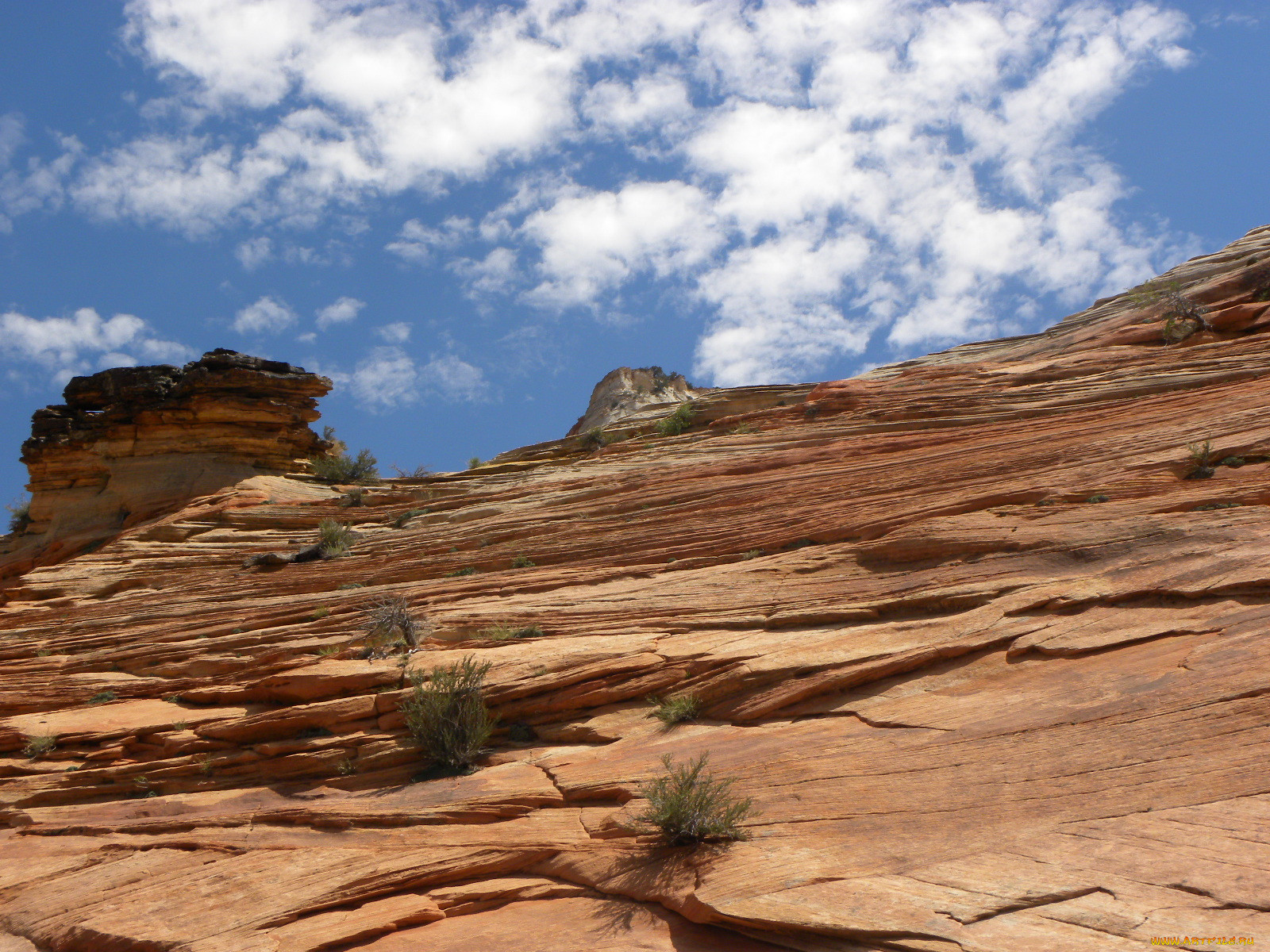 zion, national, park, , , 